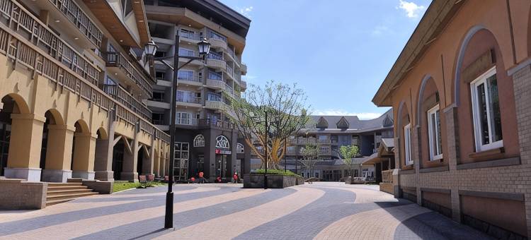 平昌阿尔卑西亚假日套房酒店(Holiday Inn & Suites ALPENSIA PYEONGCHANG by IHG)图片