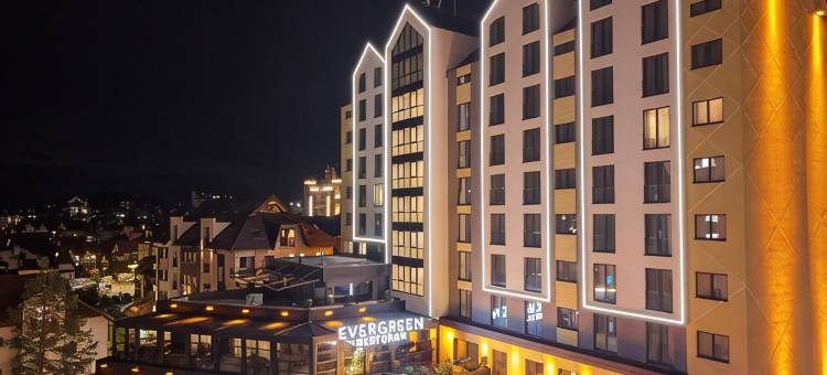 博罗瓦别墅健康水疗度假村(Vila Borova Wellness&SPA Resort)图片