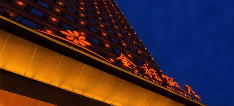 陇南金桔饭店图片