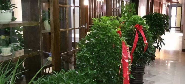 张家界夜泊禾田风格主题客栈(天门山国家森林公园店)图片