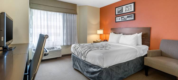 萨拉索塔北舒眠酒店(Sleep Inn Sarasota North)图片