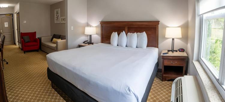 威尔明顿丽怡酒店(Country Inn & Suites by Radisson, Wilmington, NC)图片