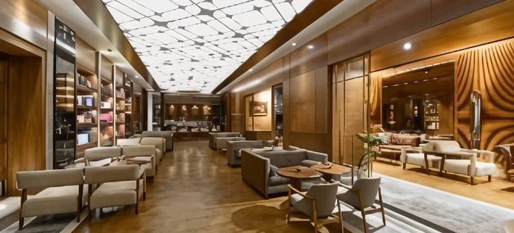 瑞享温泉水疗酒店(Mövenpick Bursa Hotel and Thermal Spa)图片