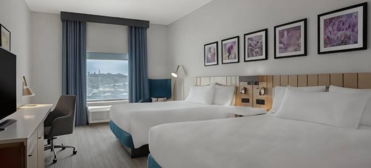希尔顿花园酒店萨德伯里(Hilton Garden Inn Sudbury)图片