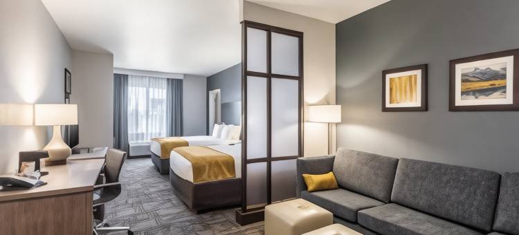 盐湖城机场舒适套房酒店(Comfort Inn & Suites Salt Lake City Airport)图片