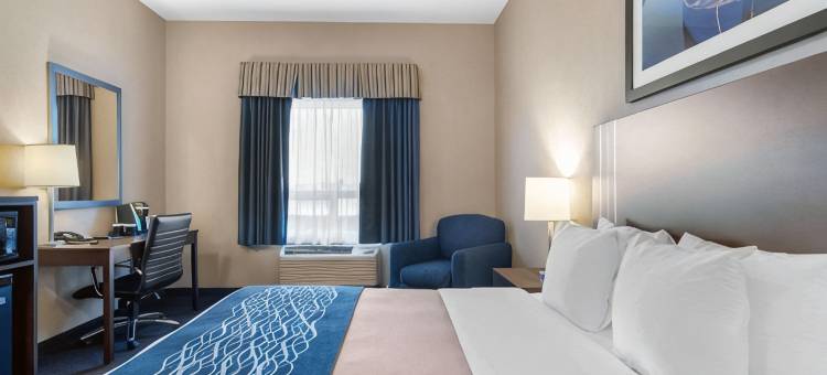 舒适套房酒店(Comfort Inn & Suites)图片