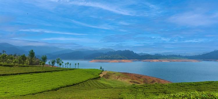 Emerald by Nature Resorts and Stays, Avalanchi图片