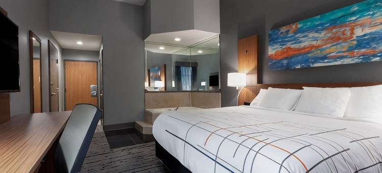 圣彼得堡Gateway舒眠套房旅馆(Sleep Inn & Suites St Petersburg Gateway)图片