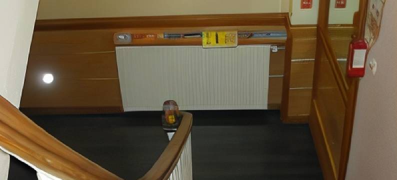 莱纳桑斯酒店(Hotel la Renaissance)图片