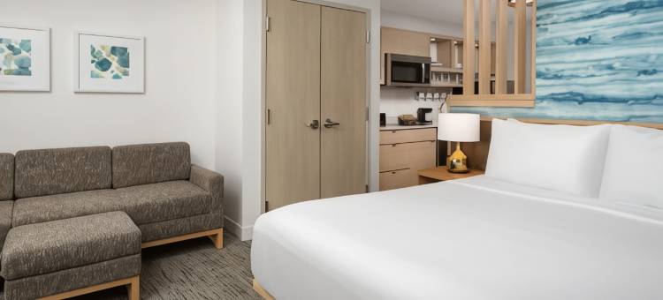 辛辛那提梅森唐普雷斯套房酒店(TownePlace Suites Cincinnati Mason)图片