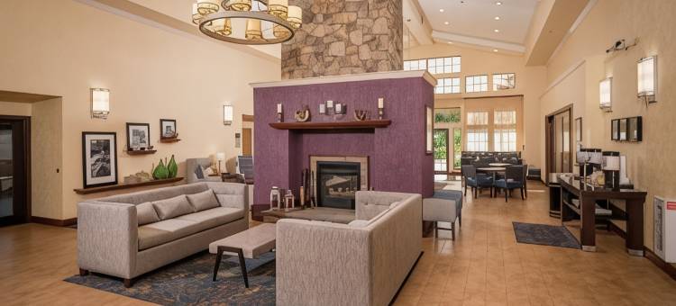 宾厄姆顿维斯塔欢朋套房酒店(Hampton Inn & Suites Binghamton/Vestal)图片