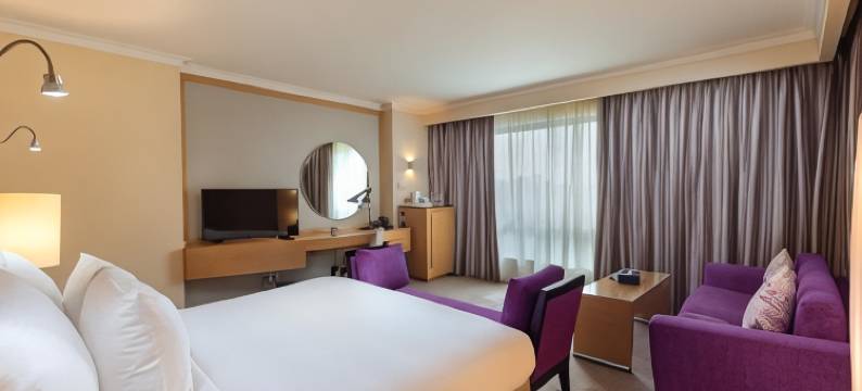 开罗赫利奥波利斯丽笙酒店(Radisson Blu Hotel, Cairo Heliopolis)图片