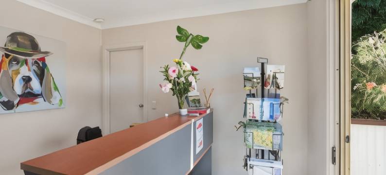 顶湖假日单元旅馆(Top of the Lake Holiday Units)图片