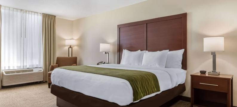 舒适酒店(Comfort Inn)图片