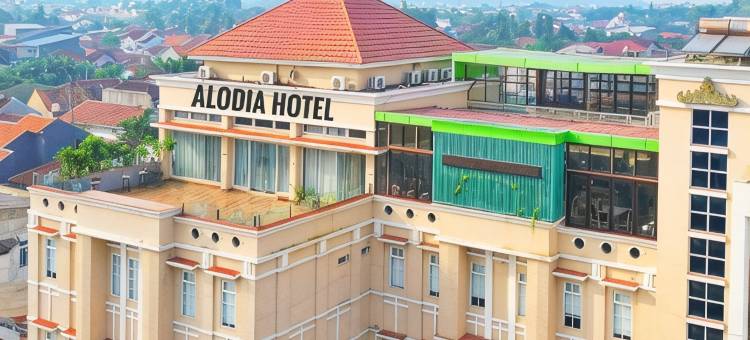 阿洛迪亚-由阿奇皮拉哥酒店管理(Hotel Alodia Powered by Archipelago)图片