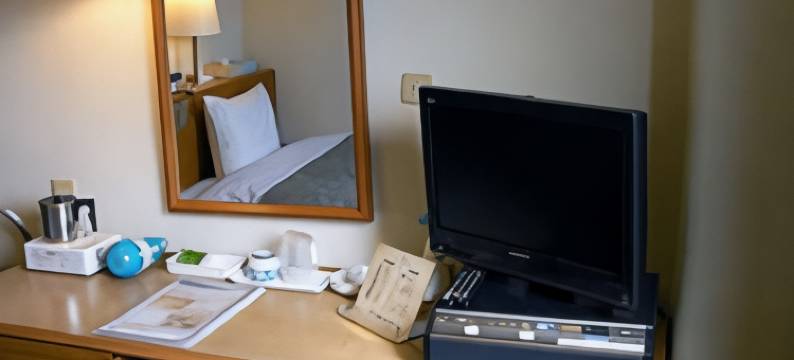 入间第一酒店(Iruma Dai-Ich Hotel)图片