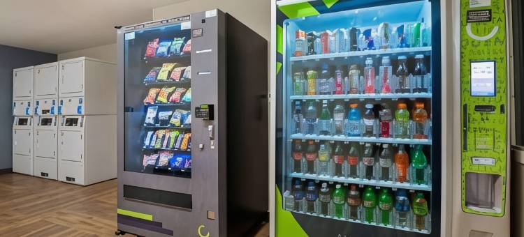 美国长住酒店-弗里蒙特-纽瓦克(Extended Stay America Suites - Fremont - Newark)图片