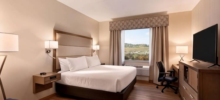 州立学院温德姆花园酒店(Wyndham Garden State College)图片