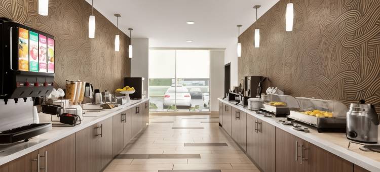 岩石丘拉昆塔温德姆套房酒店(La Quinta Inn & Suites by Wyndham Rock Hill)图片