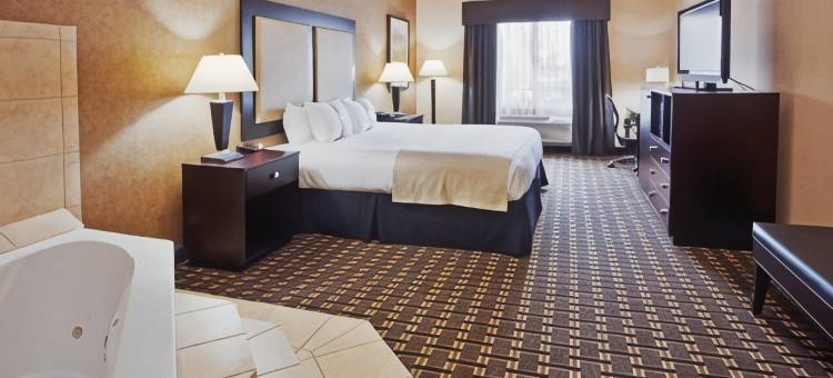 Holiday Inn 阿林顿东北流浪者棒球场(Holiday Inn Arlington NE-Rangers Ballpark)图片