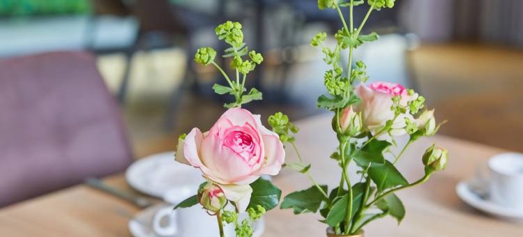 克灵格霍菲尔酒店(Hotel Klingelhöffer)图片