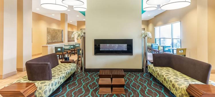 卡尔斯巴德拉昆塔温德姆套房酒店(La Quinta Inn & Suites by Wyndham Carlsbad)图片