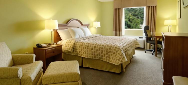 斯溫斯伯罗戴斯套房酒店(Days Inn & Suites by Wyndham Swainsboro)图片