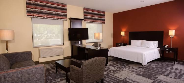 希尔顿欢朋套房酒店-菲尼克斯城钱德勒频谱大道(Hampton Inn & Suites Phoenix Chandler-Fashion Center)图片