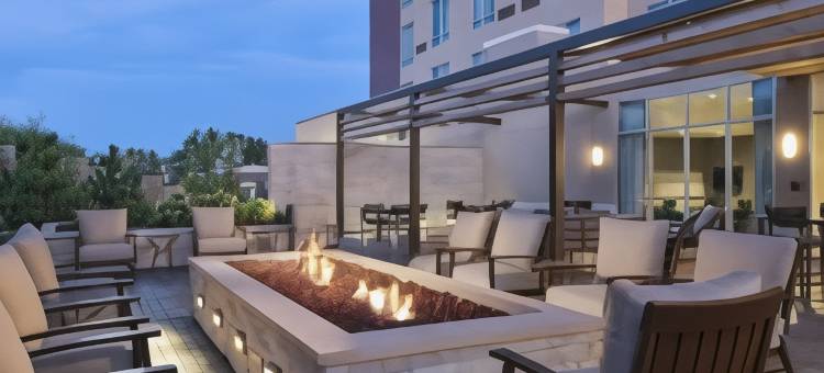 圣路易斯布伦特伍德万豪万怡酒店(Courtyard St. Louis Brentwood)图片