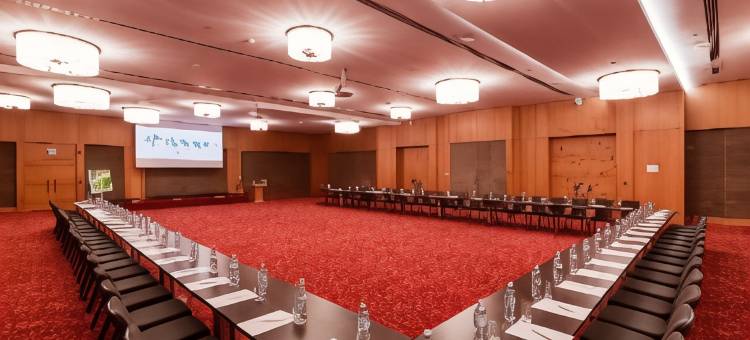 巴库假日酒店(Holiday Inn Baku)图片