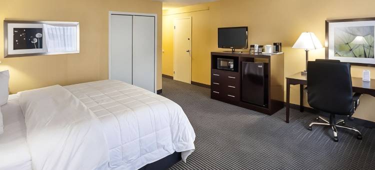 凯艺酒店(Quality Inn)图片
