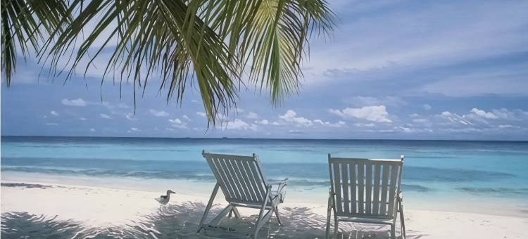 霍姆斯海滩现代度假屋. 网球和海滩，无楼梯(Modern Holmes Beach Retreat. No Stairs, Near Tennis & Beach)图片