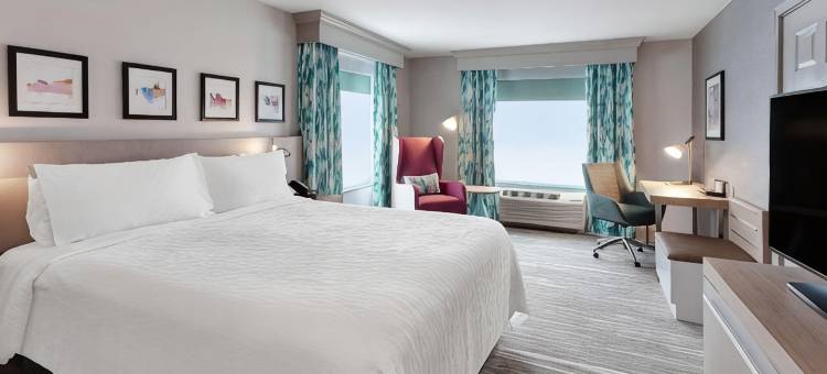 芝加哥北岸/埃文斯顿希尔顿花园酒店(Hilton Garden Inn Chicago North Shore/Evanston)图片