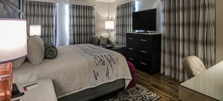 英迪格酒店伯明翰五点南 - 阿拉巴马大学伯明翰分校 by IHG(Hotel Indigo BIRMINGHAM FIVE POINTS S - UAB by IHG)图片
