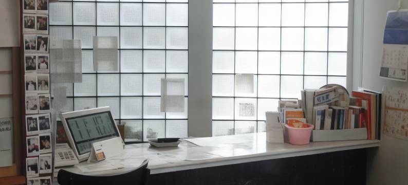 新宿卓越酒店(Ace Inn Shinjuku)图片