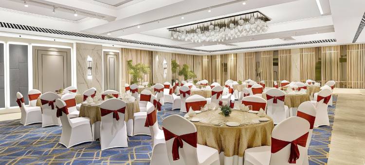 苏拉特丽柏酒店(Park Inn by Radisson Surat)图片