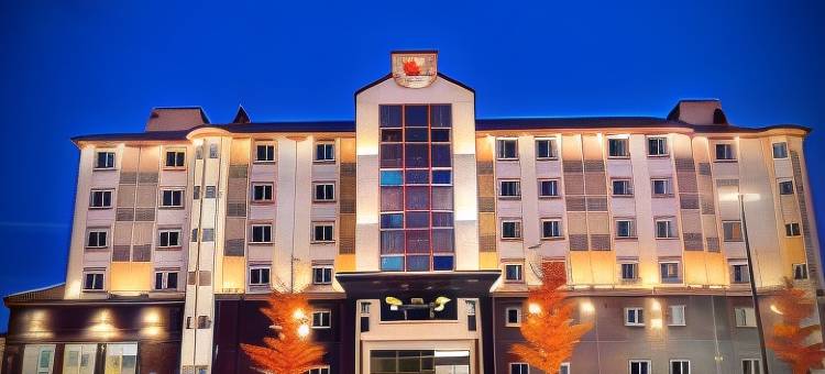 舒适酒店(Comfort Hotel)图片
