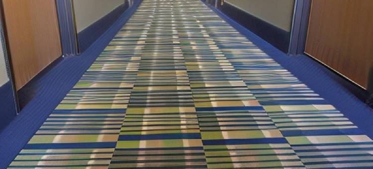 锡达城速 8 酒店(Super 8 by Wyndham Cedar City)图片