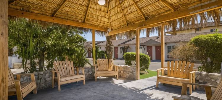 科切拉附近罗德威旅馆(Rodeway Inn Near Coachella)图片