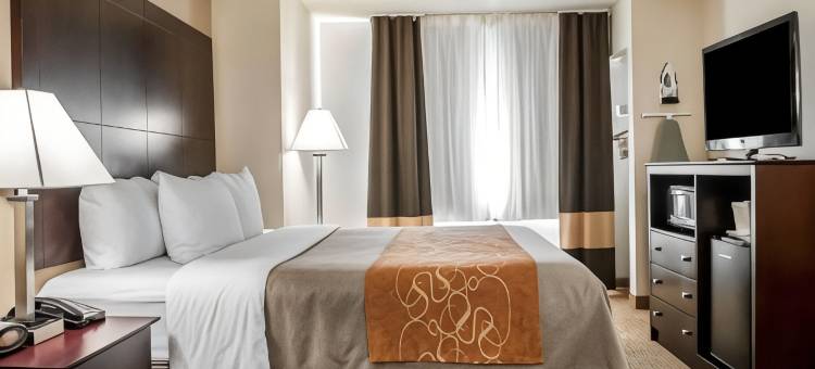 阿尔伯克基北气球嘉年华公园舒适套房酒店(Comfort Suites Albuquerque-North Journal Center)图片