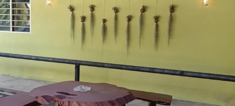 NDE酒店(Nde Hotel)图片