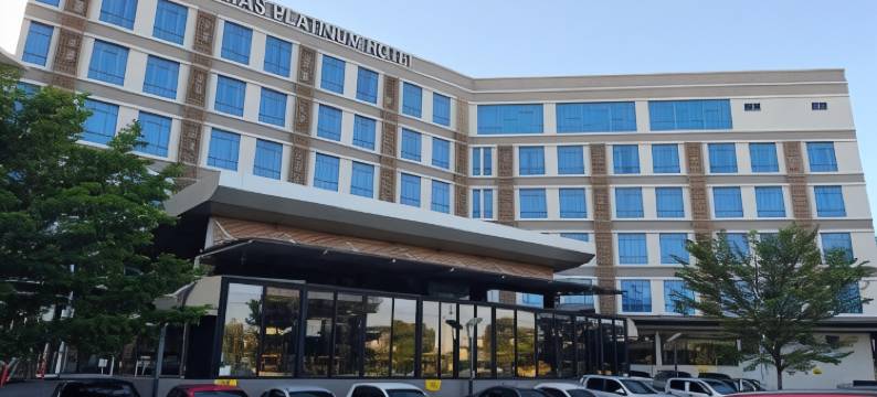 林塔斯白金酒店(Lintas Platinum Hotel)图片