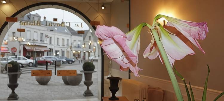 白马庄园餐厅酒店(Logis Hotel Restaurant le Cheval Blanc)图片