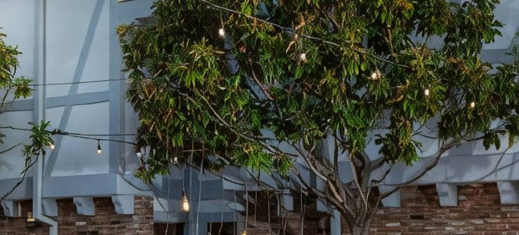 索尔万科尔克酒店 Tribute Portfolio 酒店(Corque Hotel, Solvang, A Tribute Portfolio Hotel)图片