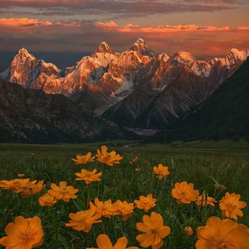 新疆南疆10日9晚跟团游