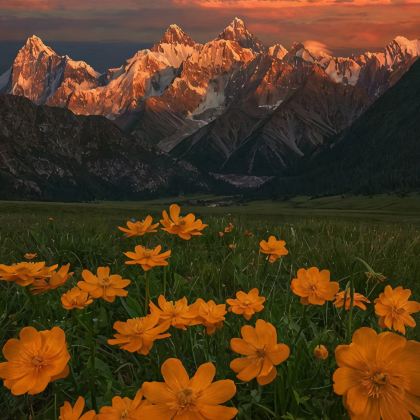 新疆南疆10日9晚跟团游