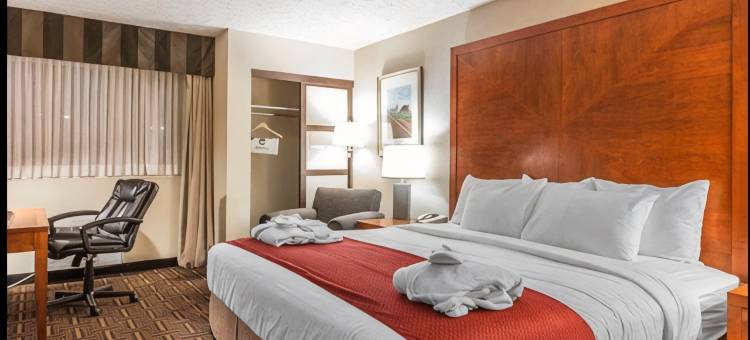 温德姆花园梅迪辛哈特会议中心(Wyndham Garden Medicine Hat Conference Center)图片