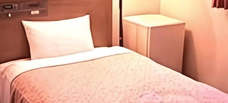 武蔵境城市商务酒店(Citytel Musashisakai)图片