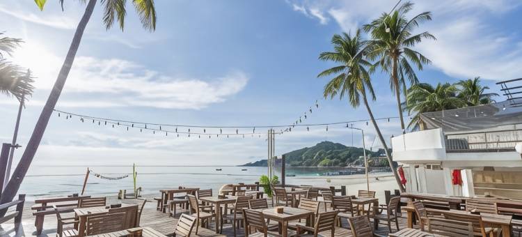 汤米度假村(Tommy Resort)图片