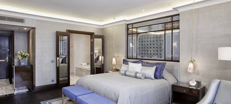 伊斯坦布尔巴塞罗酒店(Barceló Istanbul)图片